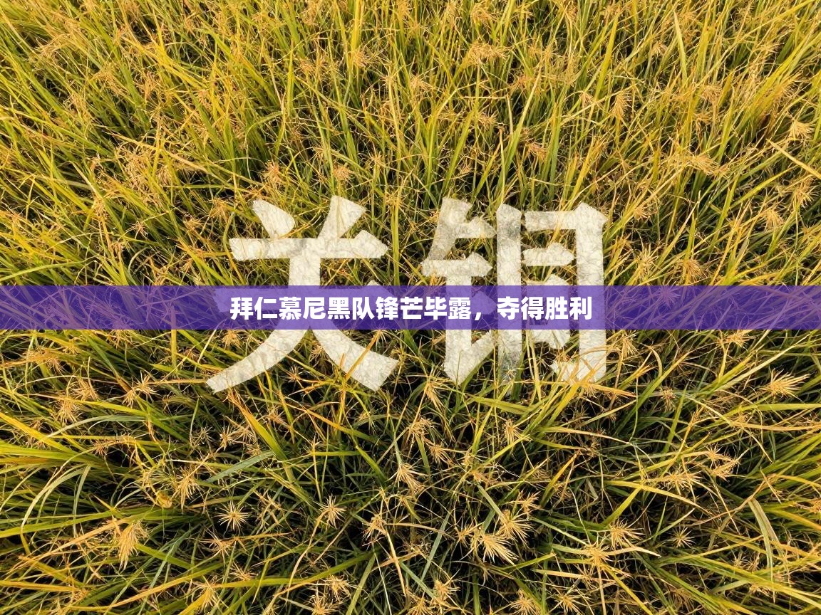 拜仁慕尼黑队锋芒毕露,夺得胜利 第2张